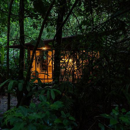 Hamadryade Lodge Puerto Misahuallí Dış mekan fotoğraf