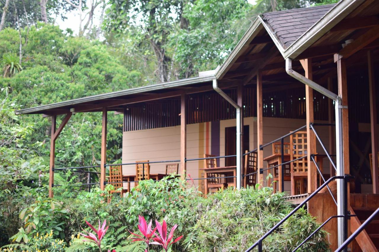 Hamadryade Lodge Puerto Misahuallí Dış mekan fotoğraf