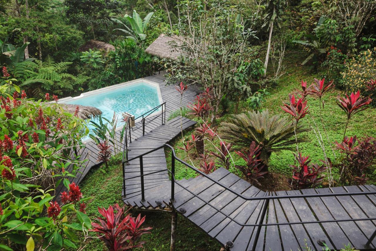Hamadryade Lodge Puerto Misahuallí Dış mekan fotoğraf