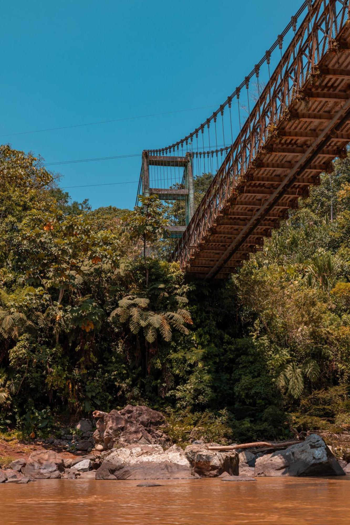 Hamadryade Lodge Puerto Misahuallí Dış mekan fotoğraf