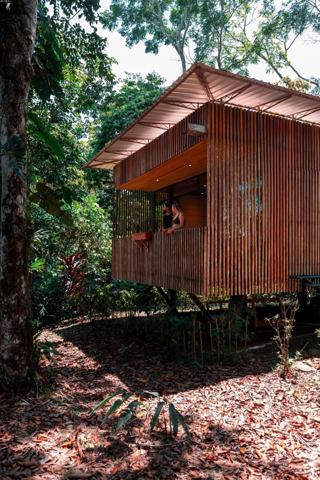 Hamadryade Lodge Puerto Misahuallí Dış mekan fotoğraf