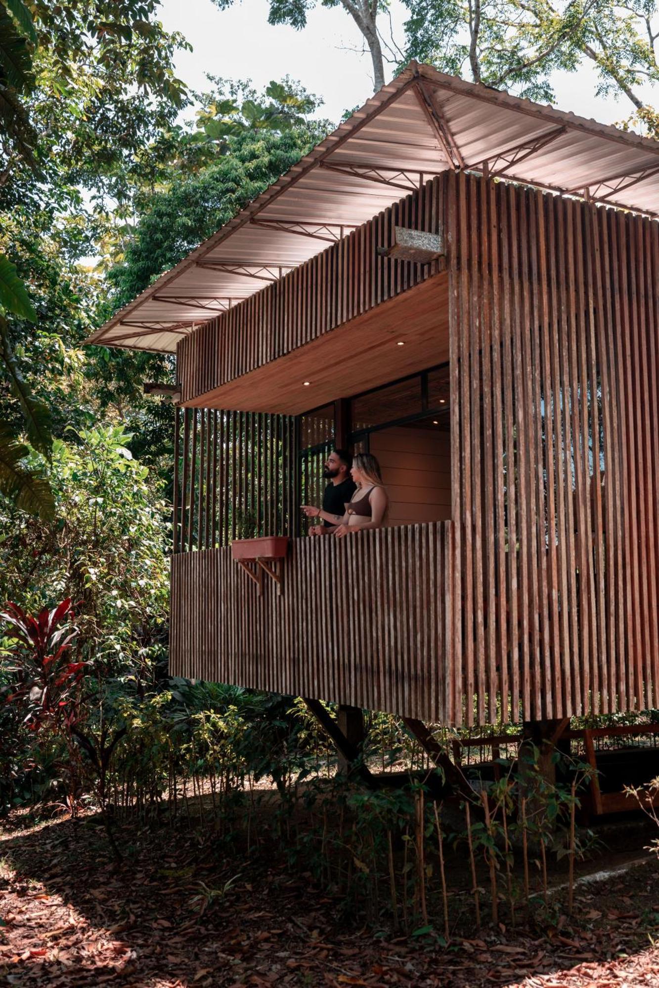 Hamadryade Lodge Puerto Misahuallí Dış mekan fotoğraf